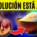 El Arroz Integral y su Relación con la Salud de la Próstata: Lo que Realmente Debes Saber